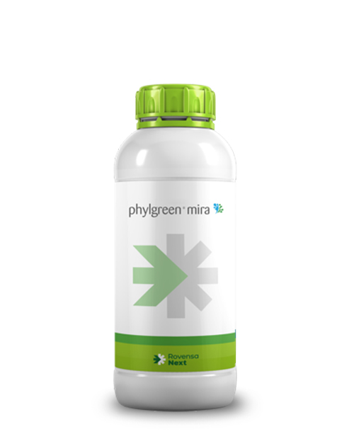 PHYLGREEN-MIRA-1L