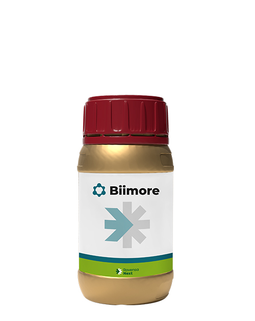 biimore-bottle