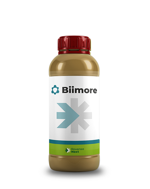 biimore