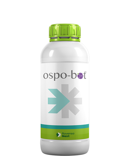 Ospo Bot -bottle