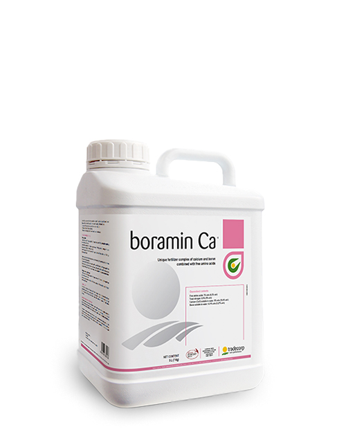 Prod-Boramin-CA