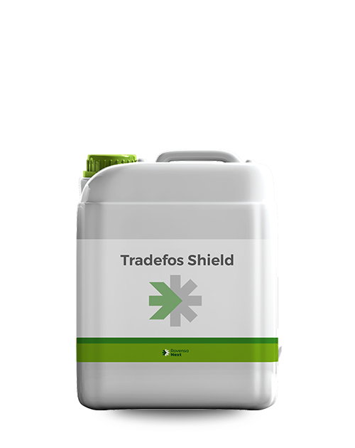 tradefos-shield