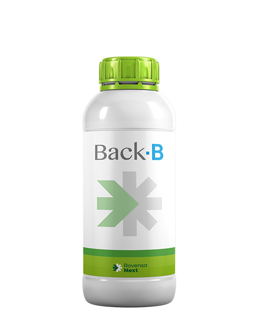 back-b-bottle