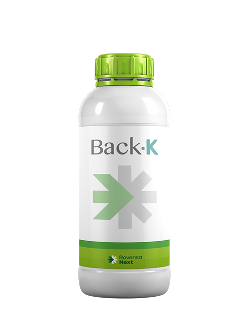 back-k-bottle