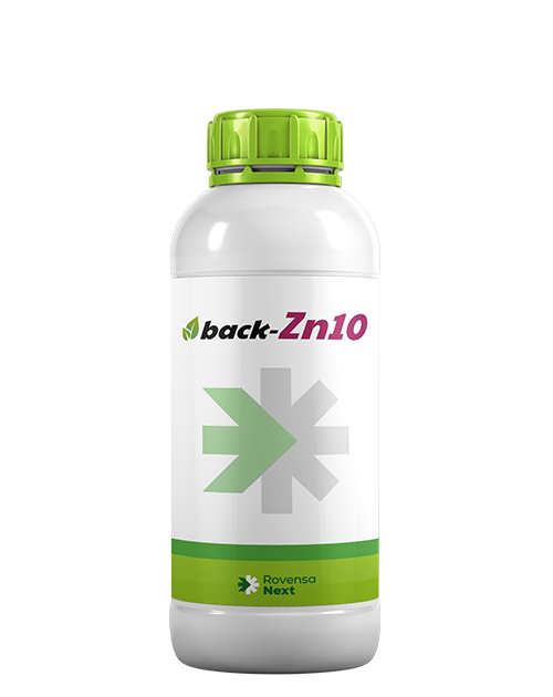 back-zn10-bottle