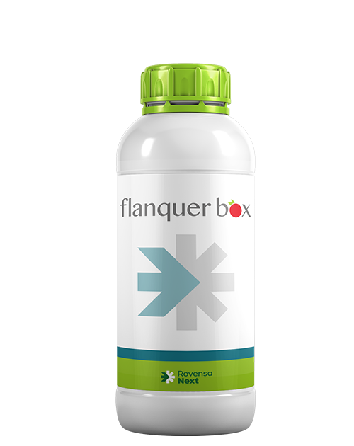 flanquer-box-bottle