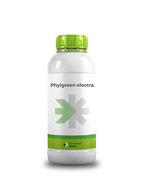 phylgreen-electra