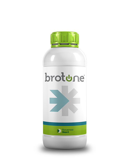 brotone