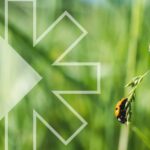 futuro sostenible en la agricultura