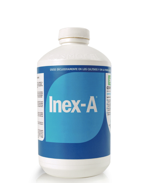 INEX-A-envase.png