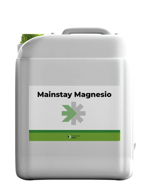 MainstayMagnesio-envase.png