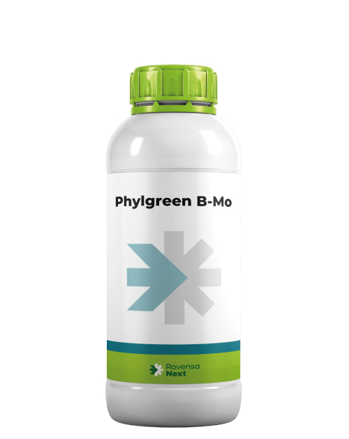 phylgreenB-Mo-envase.png