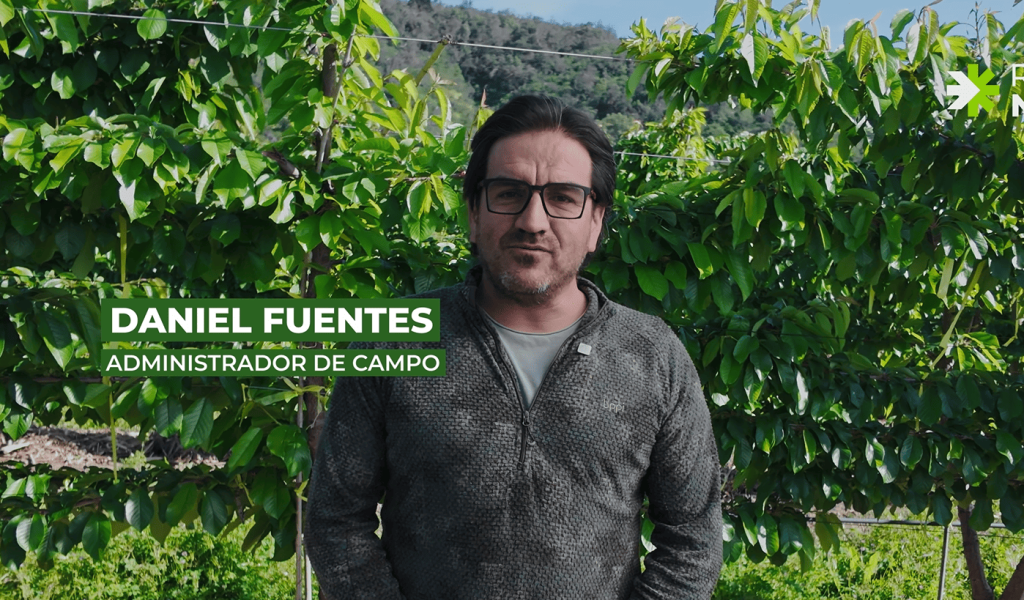 Captura de pantalla 2025-10-21 161814 (1)