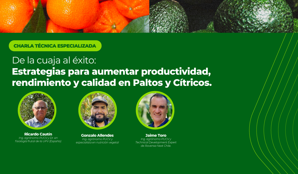 charla técnica Rovensa Next